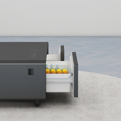 Casa Móveis Caixa de café congelada com compressor R600a e tecnologia inteligente